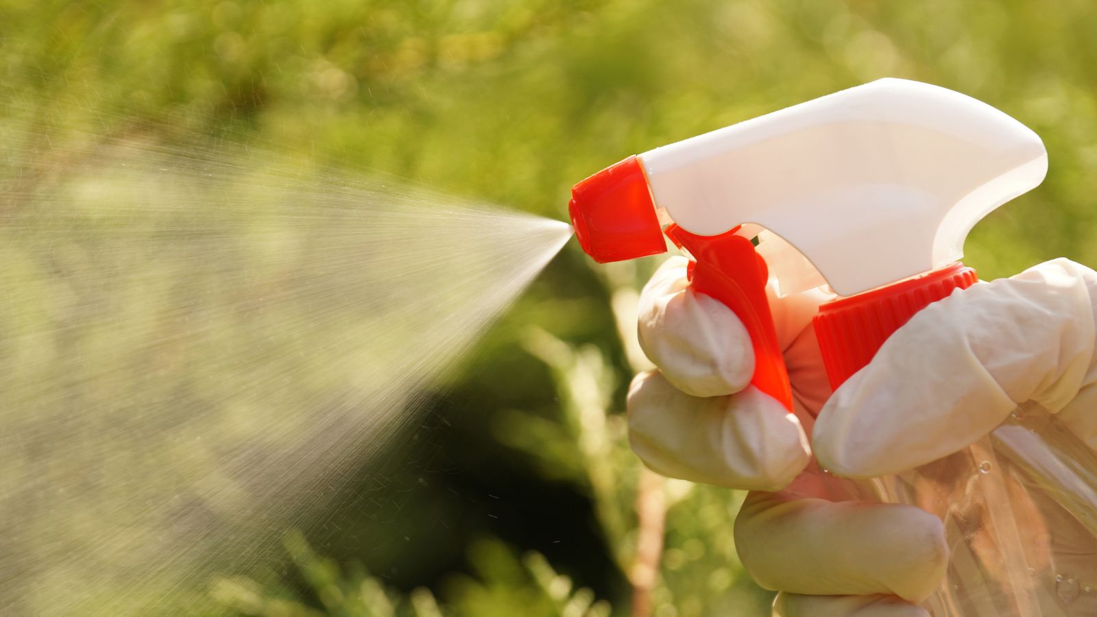 A close-up shot of a person's hand in the process of using a spray bottle to spray milk on plants