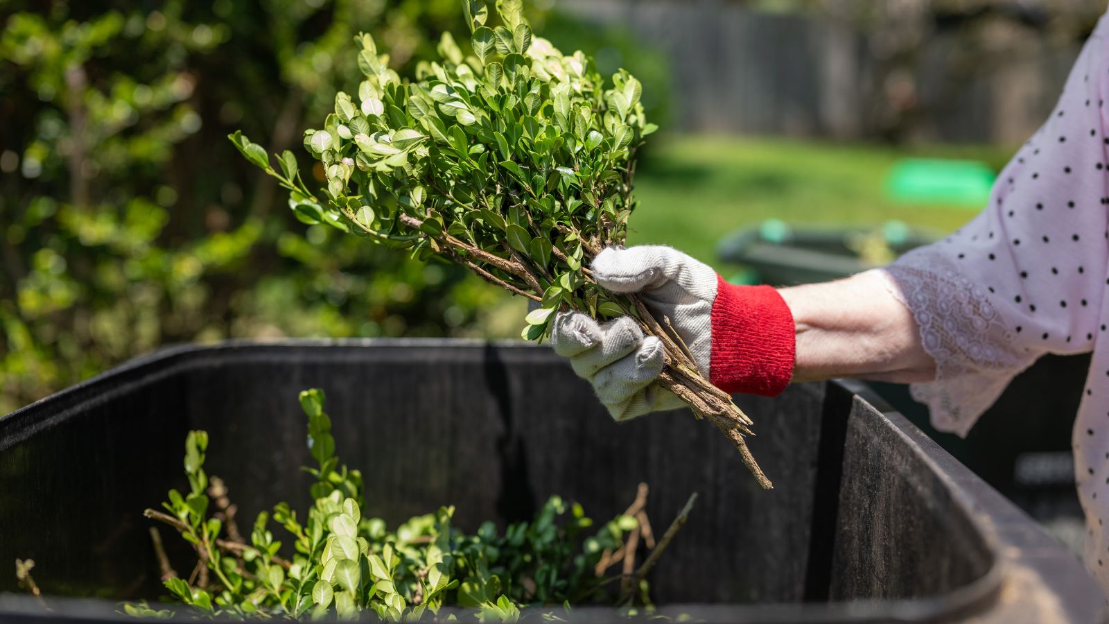 A shot of a person clearing out debris in a garden area outdoors