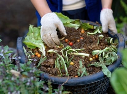 A shot of a person in the process of mixing a soil enrichment showcasing when compost ready to use