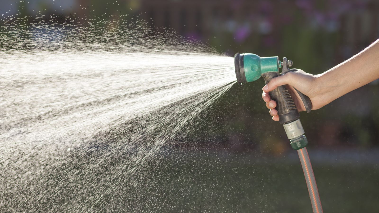 An image of a person grasping a hose while spraying a strong stream of water on the plants.