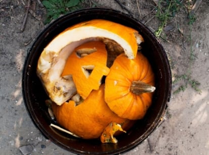 A top-view shot of a destroyed squash that show a method on how to compost pumpkins
