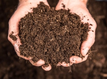Common soil terms. Close-up of male hands holding fresh, fertile, rich, loose dark brown soil.