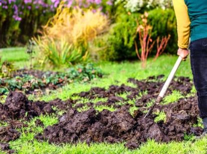 A female gardener in rubber boots spreads compost over a green lawn using a large old garden fork.