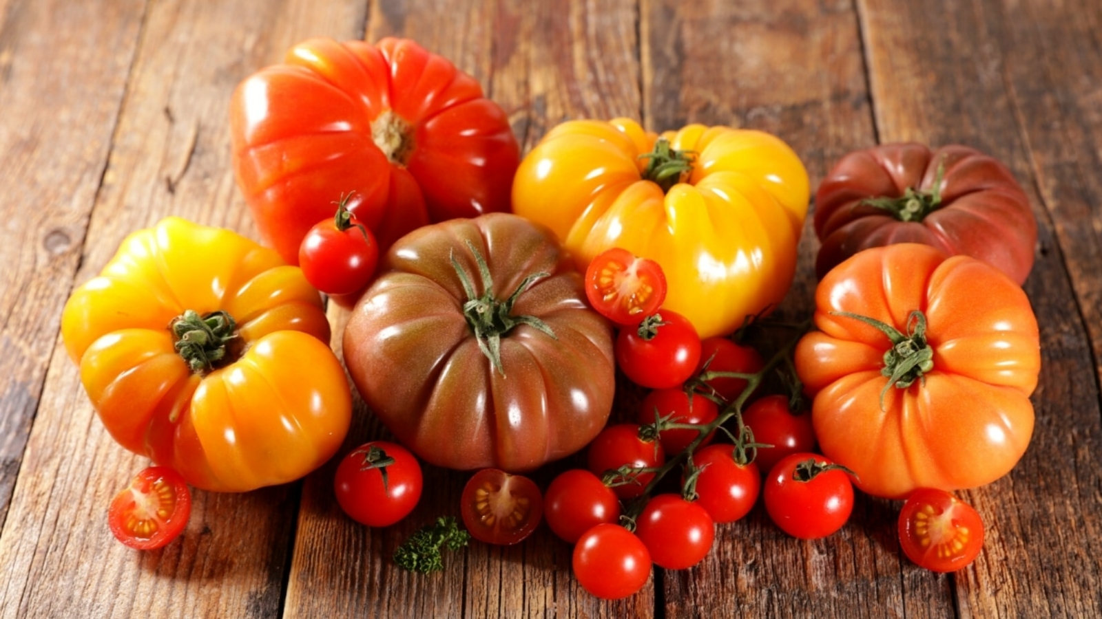Different varieties of colorful tomatoes