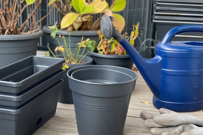 A blue watering can placed next to various black and gray pots of different sizes, with a pair of gardening gloves lying nearby.