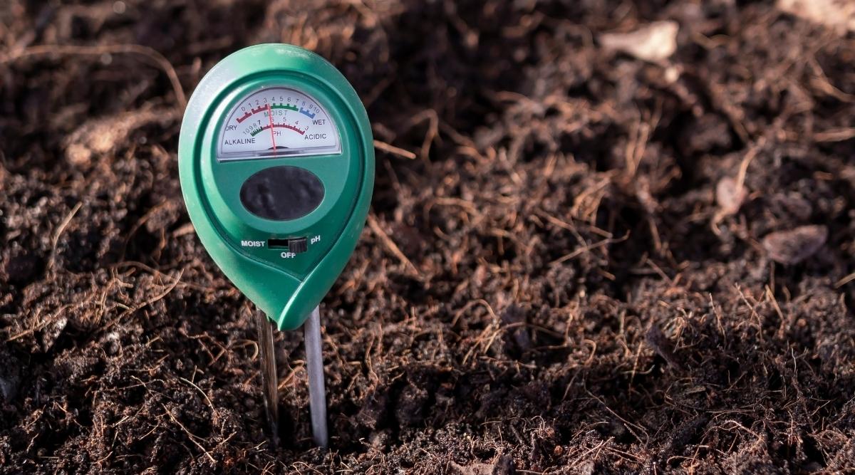 pH measure meter
