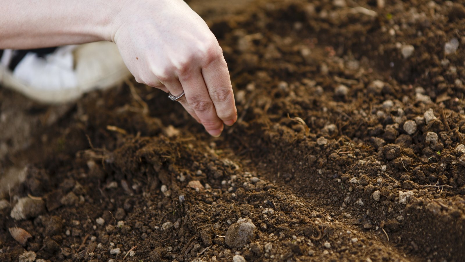 A person’s hands spreading dark, rich soil in preparation for planting crops