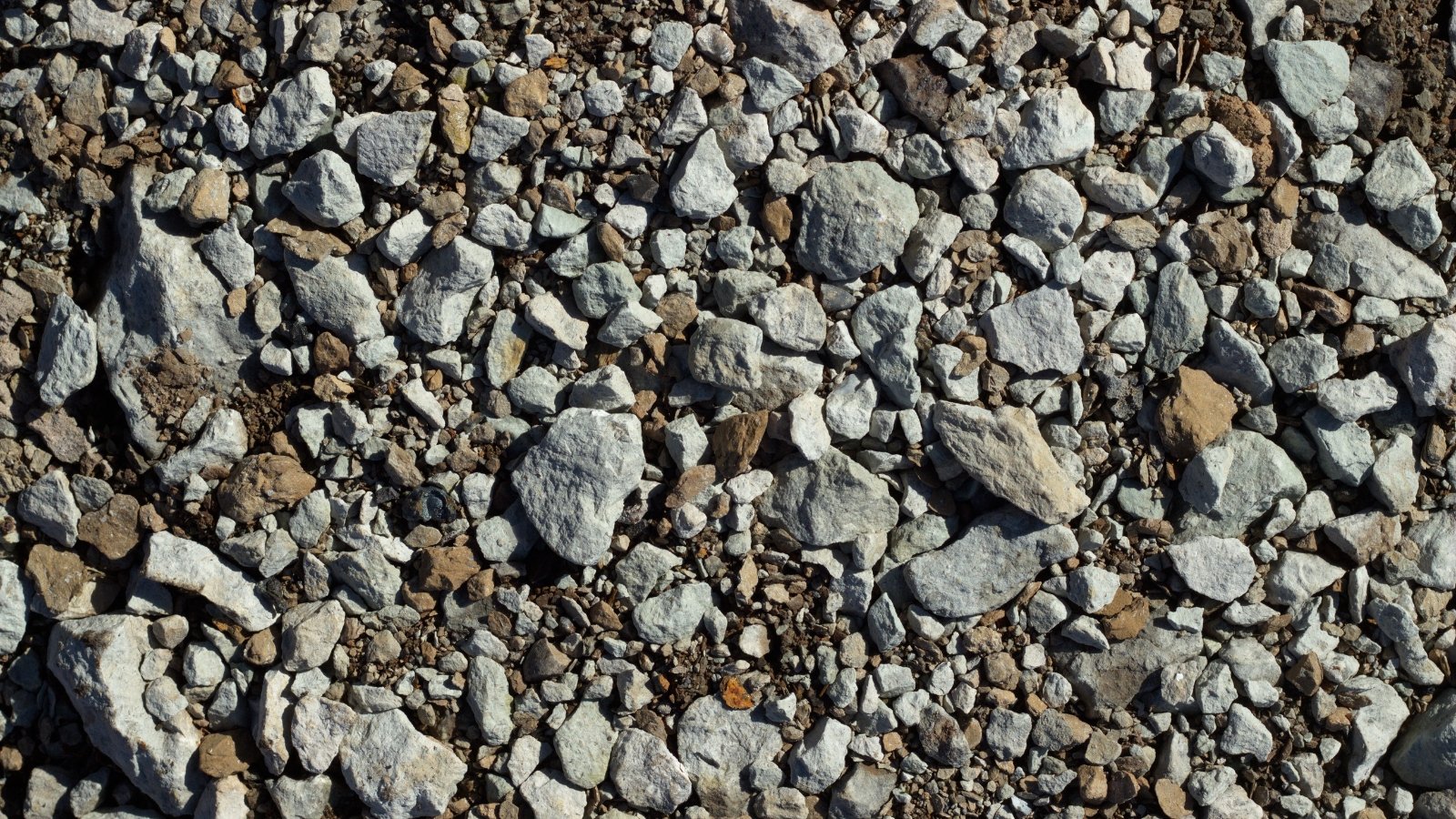 Rocky terrain under bright sunlight, highlighting rugged formations.