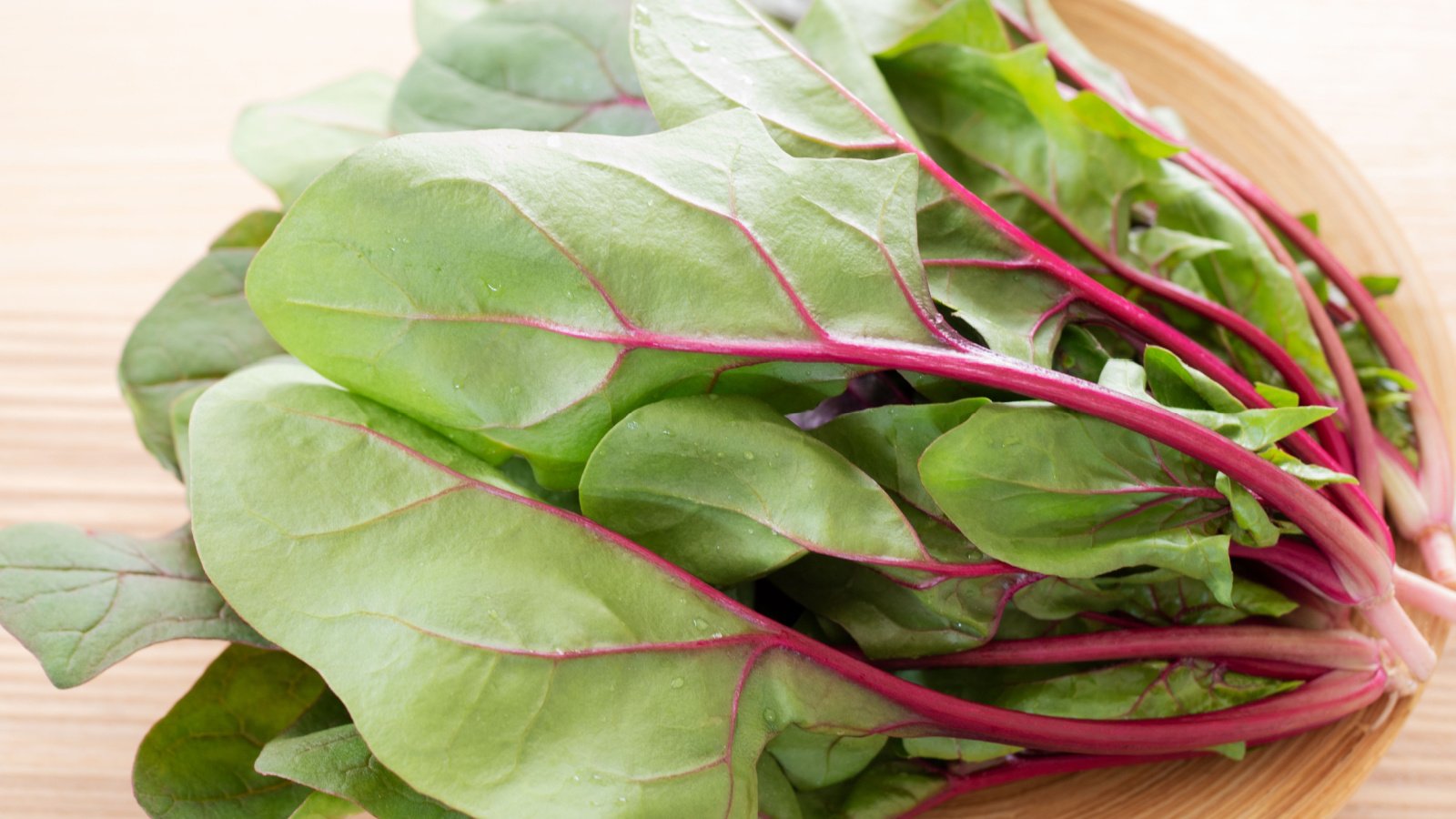 A bundle of Akarenso leaves with bright green leaves, red veins, and textured surface