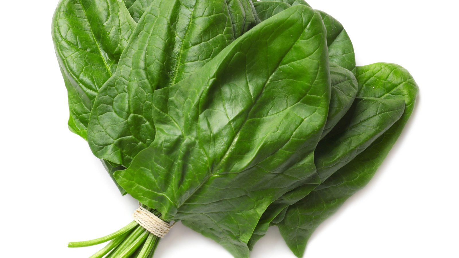 Harvested Flamingo spinach with  large leaves with green color