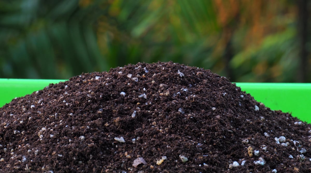 A close-up of a dark, nutrient-rich soil mixed with mineral fertilizer. It's contained within a spacious green pot. In the background, lush greenery frames the scene, hinting at a flourishing garden setting.