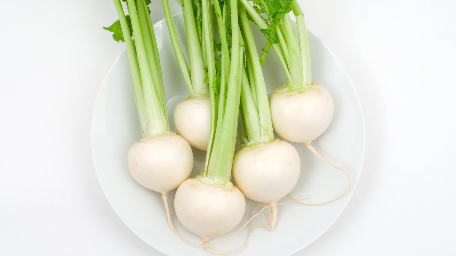 An overhead shot of several Tokyo Silky Sweet crops, showcasing their smooth, white roots are round and plump, supported by delicate bright green leaves, resting on a white plate.