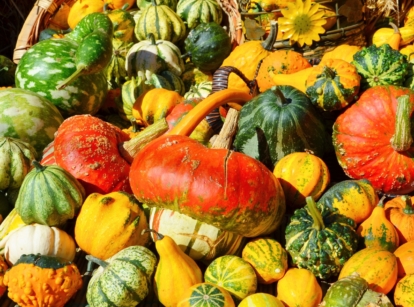 A pile of unusually shaped and multicolored gourds with warty, ridged, and curved forms arranged in rustic baskets for fall decoration.