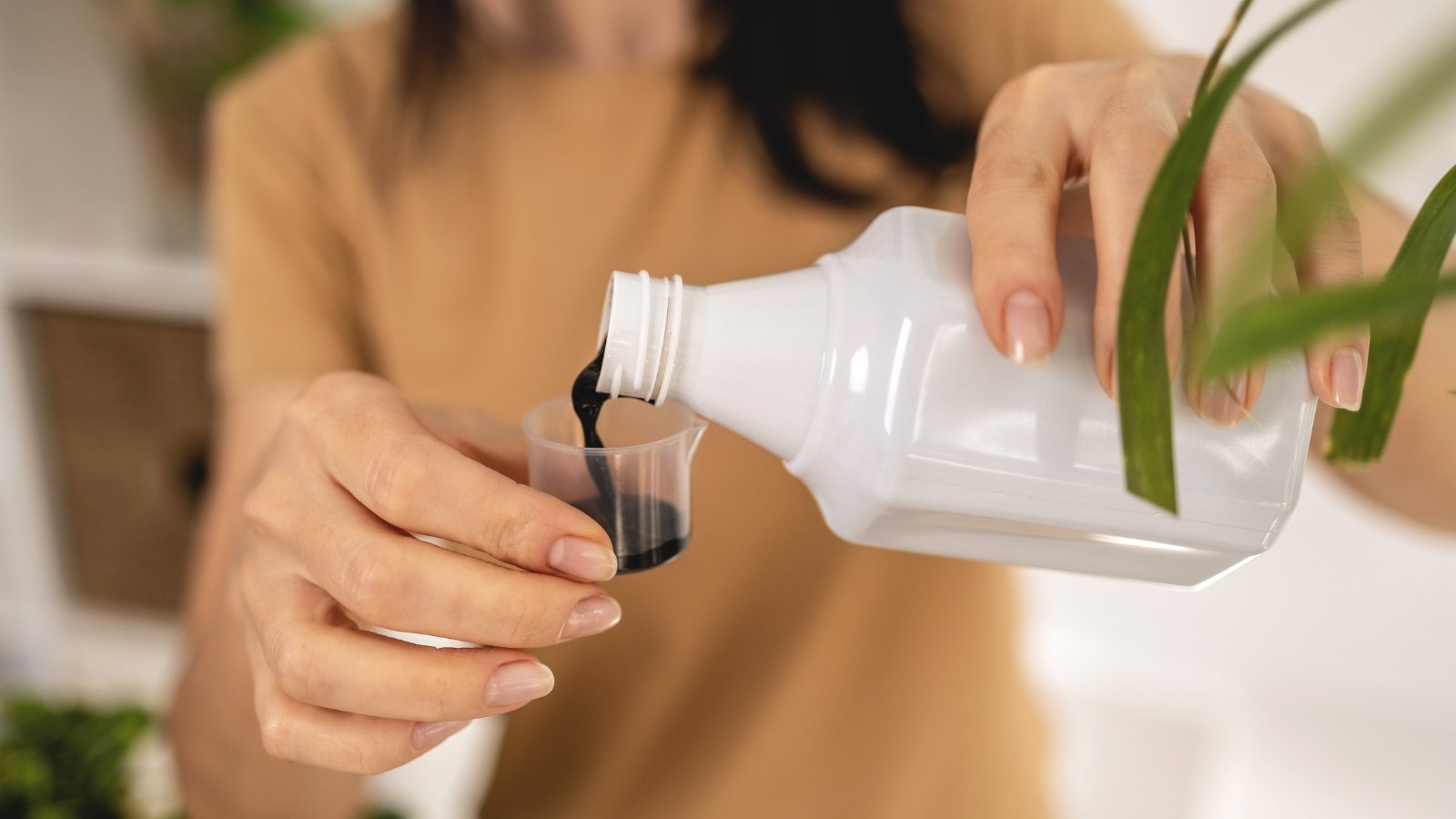 Person pouring liquid fertilizer into a small measuring cap with a green plant in the background.